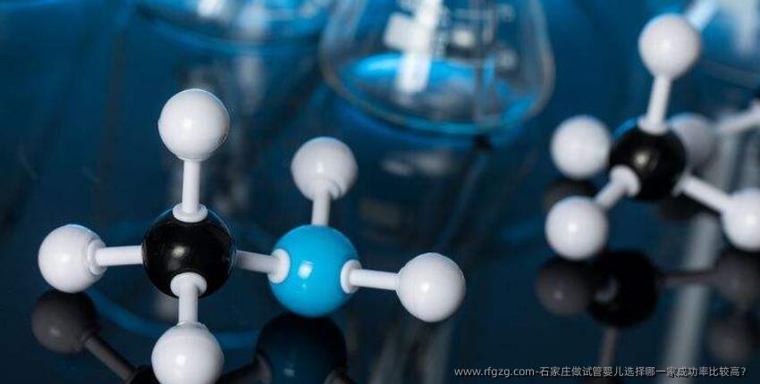 石家庄做代孕选择哪一家成功率比较高？