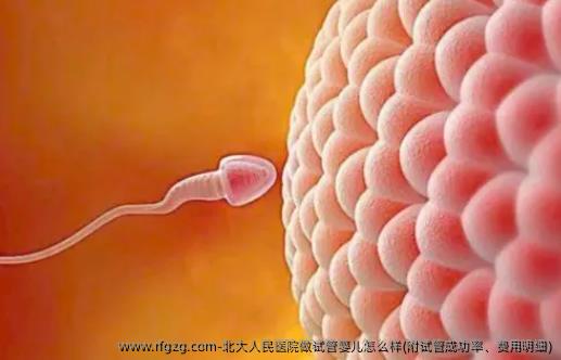 北大人民医院做代孕怎么样(附试管成功率、费用明细)