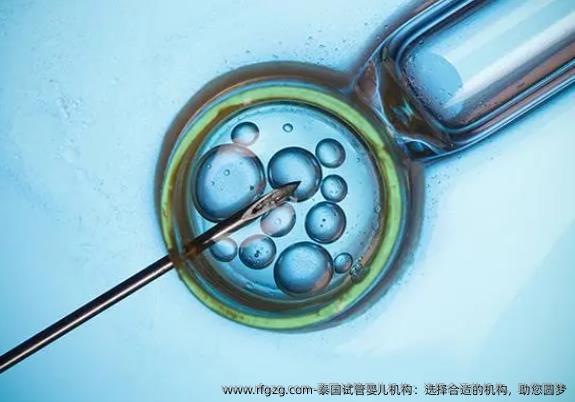 泰国代孕机构：选择合适的机构，助您圆梦