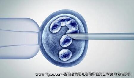 泰国代孕费用明细怎么查询 收费合理吗