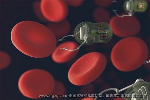泰国代孕成功率，试管成功率影响因素汇总