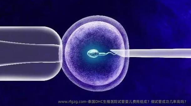 泰国DHC生殖医院代孕费用组成？做试管成功几率高吗？