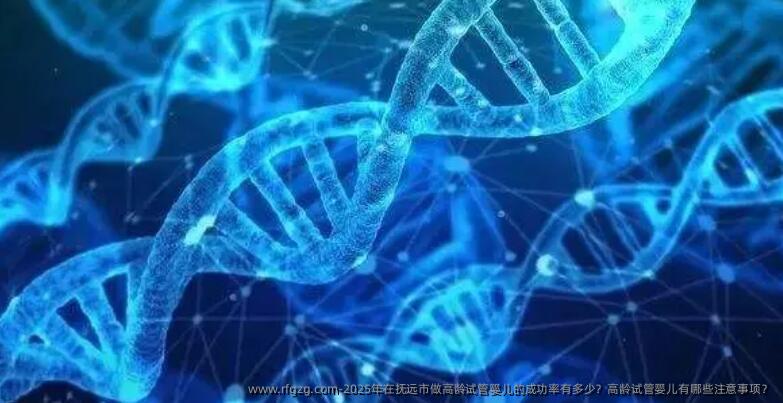 2025年在抚远市做高龄代孕的成功率有多少？高龄代孕有哪些注意事项？