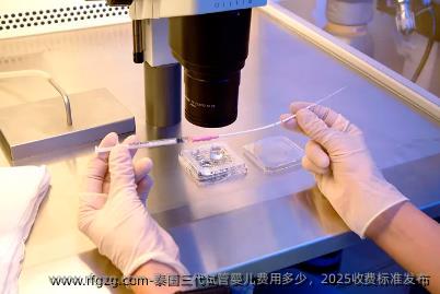 泰国三代代孕费用多少，2025收费标准发布