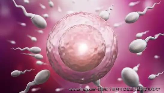 邯郸那个医院可以做三代代孕技术？