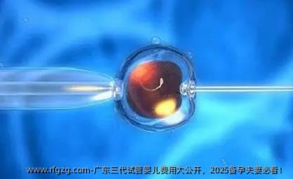 广东三代代孕费用大公开，2025备孕夫妻必看！