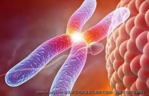 湖北第三代代孕费用大揭秘：预算约10万元够吗？