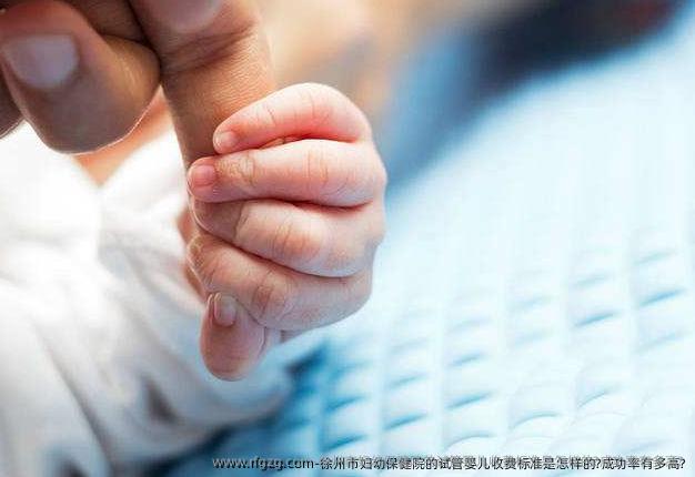 徐州市妇幼保健院的代孕收费标准是怎样的?成功率有多高?
