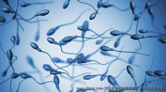 三胎政策的背景和意义 未雨绸缪是关键