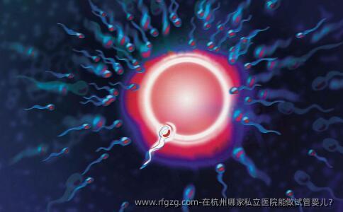 在杭州哪家私立医院能做代孕？