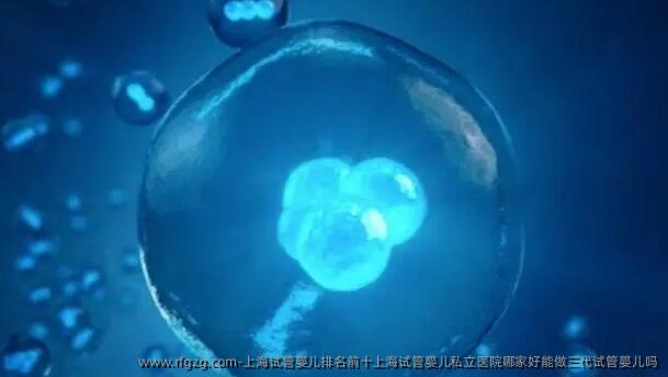 上海代孕排名前十上海代孕私立医院哪家好能做三代代孕吗