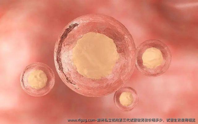 潮州私立机构第三代试管做男孩价格多少，试管生孩子费用概览