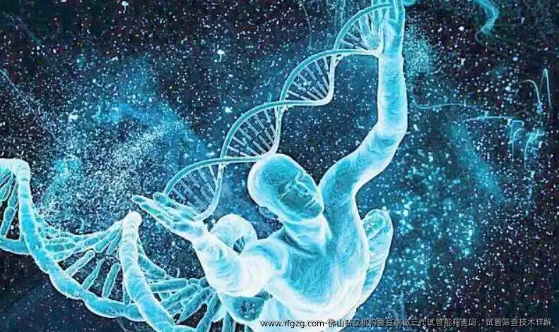佛山私立机构蚕豆病做三代试管能筛查吗，试管筛查技术详解
