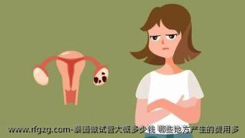 泰国做试管大概多少钱 哪些地方产生的费用多