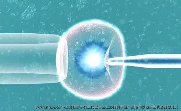 上海红房子有三代试管么上海红房子妇产医院可以做第三代代孕吗
