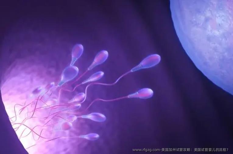 美国加州试管攻略：美国代孕的流程？