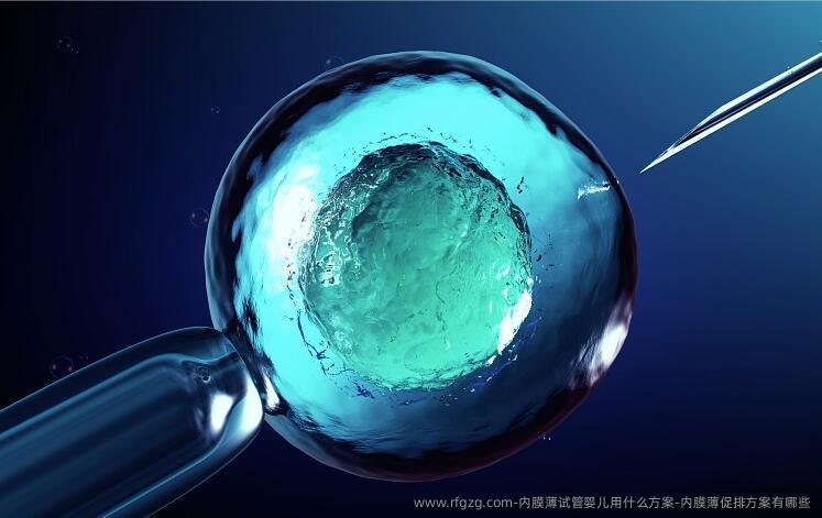 内膜薄代孕用什么方案-内膜薄促排方案有哪些