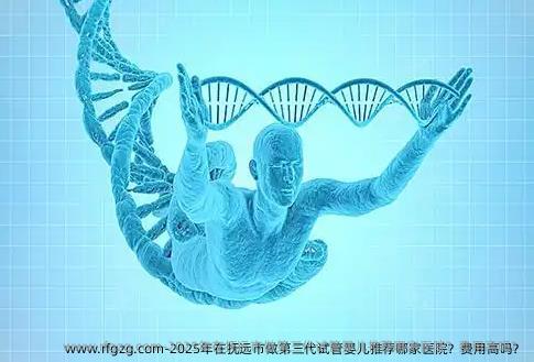 2025年在抚远市做第三代代孕推荐哪家医院？费用高吗？