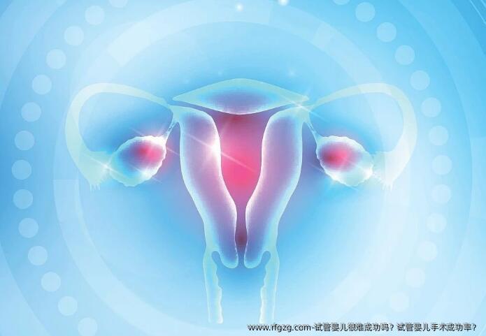 代孕很难成功吗？代孕手术成功率？