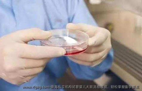 珠海私立机构代孕大致流程概览，轻松掌握备孕要点