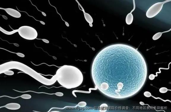 日本试管医院价格调查：不同地区费用差异解析 